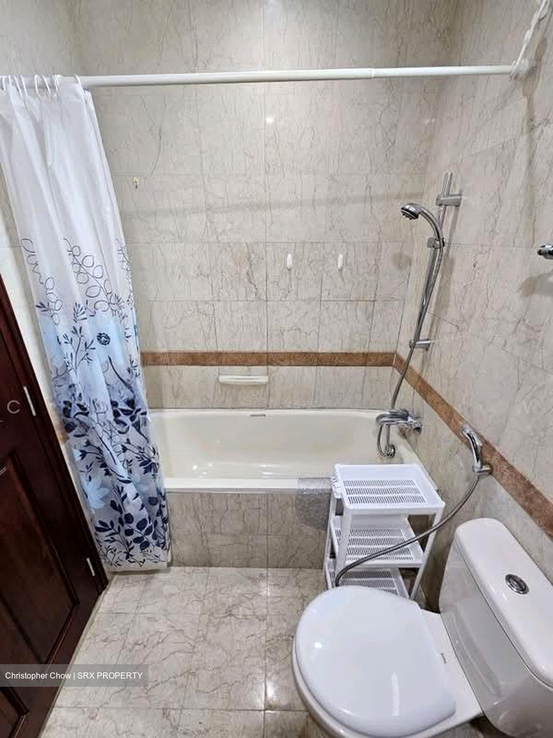 Tanglin Regency (D10), Condominium #602849211